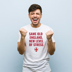 England Supporter T Shirt New Level of Stress Funny Three Lions Football Tee