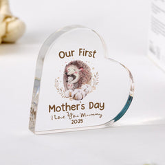 Our First Mother's Day Gift Personalised Acrylic Plaque for Mummy Baby Custom New Mum Keepsake Hedgehog hug