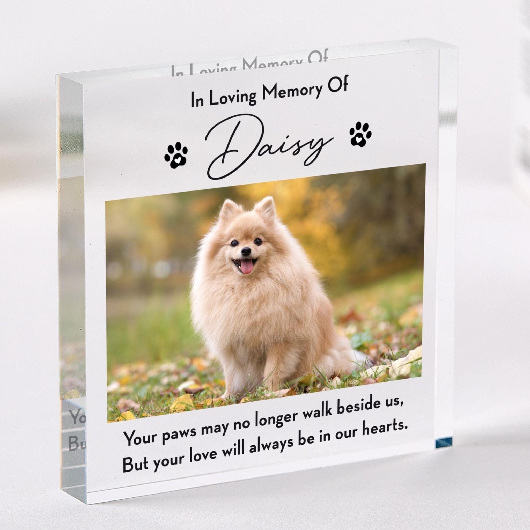 Personalised Pet Memorial Photo Plaque In Loving Memory Acrylic Keepsake with Pet Name & Picture Dog or Cat Loss Sympathy Gift RIP Pet Owner