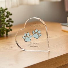 To My Favourite Human Acrylic Plaque for Cat Dog Owner Cute Pet - Themed Gift from Dog or Cat Dad Mum Paw Print Keepsake for Pet Lovers