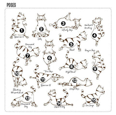 Cat yoga poses t-shirt, Cat Lover Gift for her, Yoga Gift for women