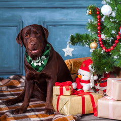 Personalised Santa'S Little Helper Triangle Dog Scarf, Bandanas For Pets, Christmas Gift For Dog Owner