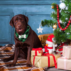 Personalised Triangle Dog Scarf With Name, Bandanas For Pets, Dog Accessories