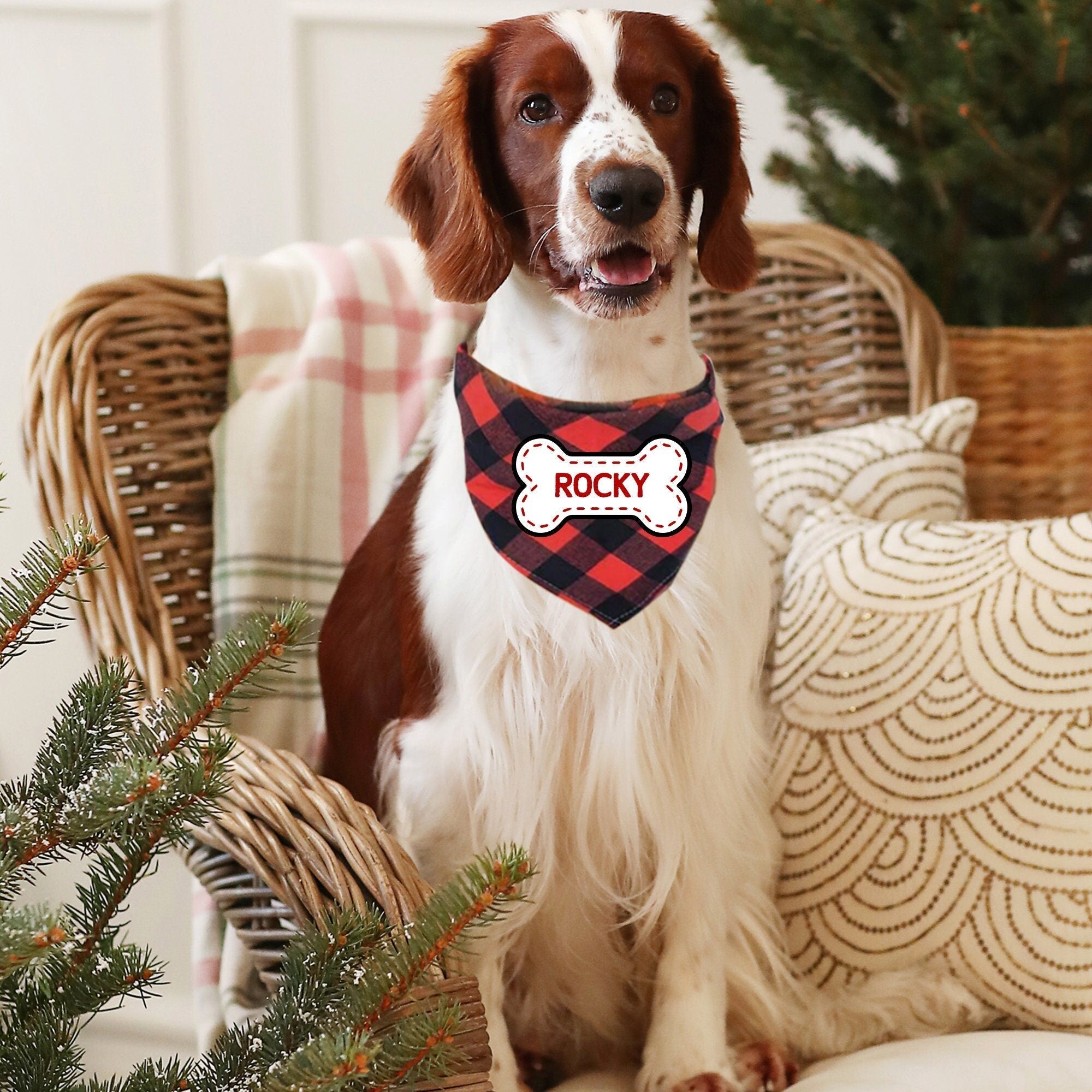 Personalised Triangle Dog Scarf With Name, Bandanas For Pets, Dog Accessories