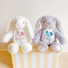 My First Easter Bunny With Name Baby Boy 1st Easter Gift 35 Cm Baby Keepsake Pink Blue Teddy Rabbit Toys