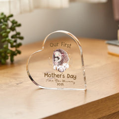 Our First Mother's Day Gift Personalised Acrylic Plaque for Mummy Baby Custom New Mum Keepsake Hedgehog hug