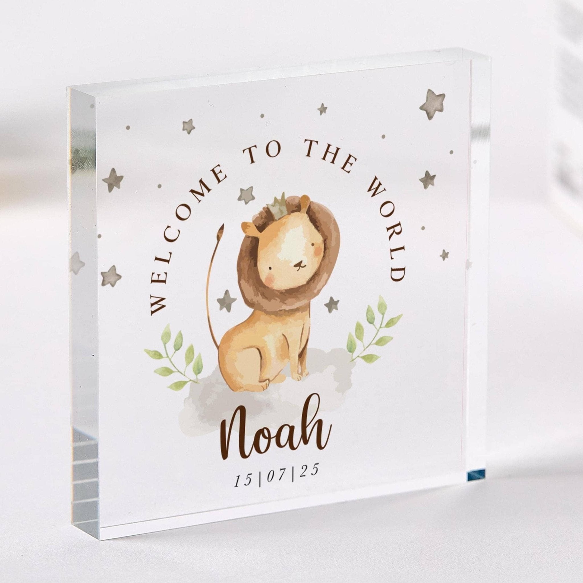 Personalised Acrylic Plaque Welcome to World Keepsake Custom Name & Date Nursery Animal Decor Shower Present