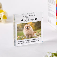 Personalised Pet Memorial Photo Plaque In Loving Memory Acrylic Keepsake with Pet Name & Picture Dog or Cat Loss Sympathy Gift RIP Pet Owner