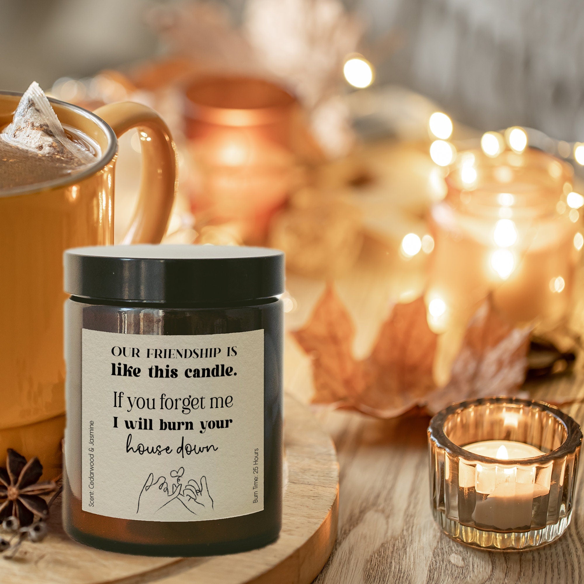 Friendship Candle, Funny Gift For Best Friend, Joke Candle, Christmas Birthday Gift For Her