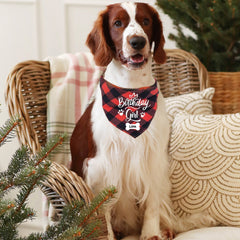 Personalised Birthday Boy Or Girl Triangle Dog Scarf With Name, Bandanas For Pets, Dog Owner, Dog Accessories