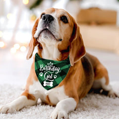 Personalised Birthday Boy Or Girl Triangle Dog Scarf With Name, Bandanas For Pets, Dog Owner, Dog Accessories